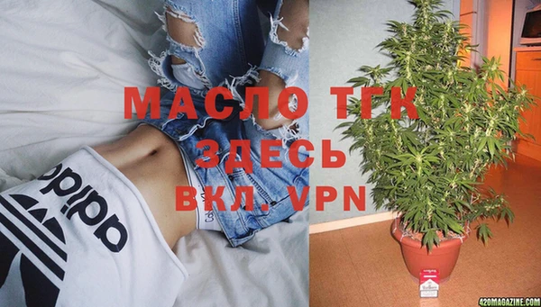 твердый Богородицк