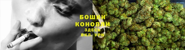 твердый Богородицк