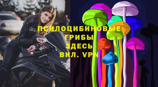 твердый Богородицк