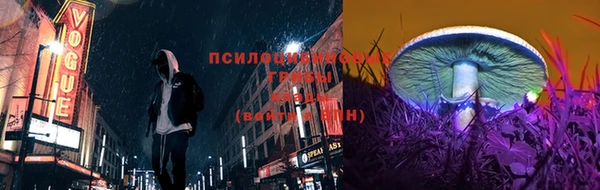 твердый Богородицк