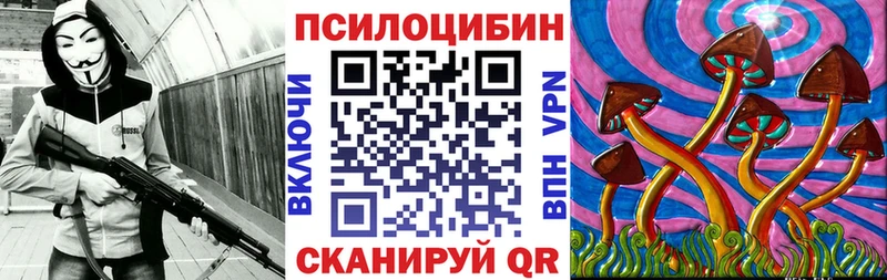Псилоцибиновые грибы GOLDEN TEACHER Выборг