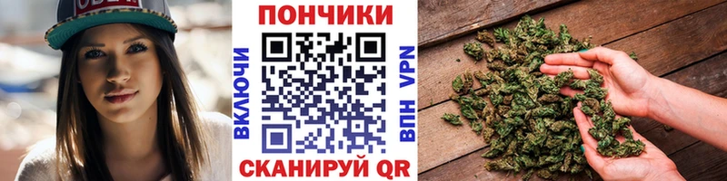 hydra сайт  сколько стоит  Выборг  сайты даркнета формула  Канабис сатива 